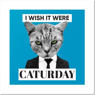 I Wish It Were Caturday Posters and Art